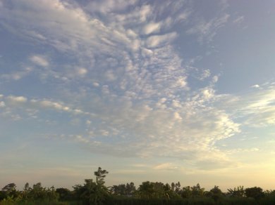 Như Mây Chiều Lãng Bạt