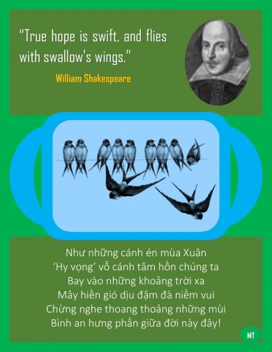 Hy Vọng